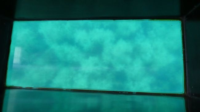 底は透明なグラスボート<br /><br />今回はたまたま　友人と　一組のカップルの　4人でした