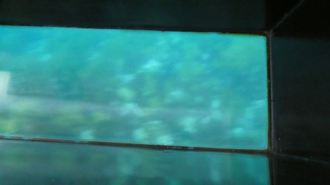 海の中　案内のアナウンスに合わせて船は動きます