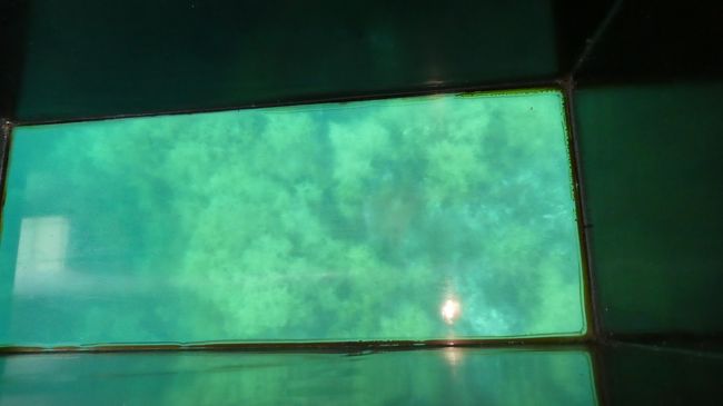 岸に近づくと　底が見える