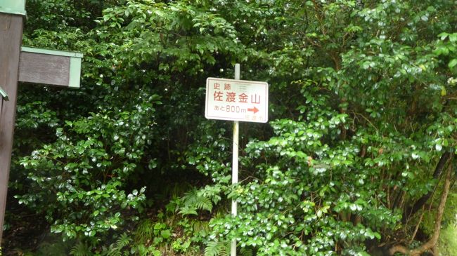 そしてこれが　公立の標識