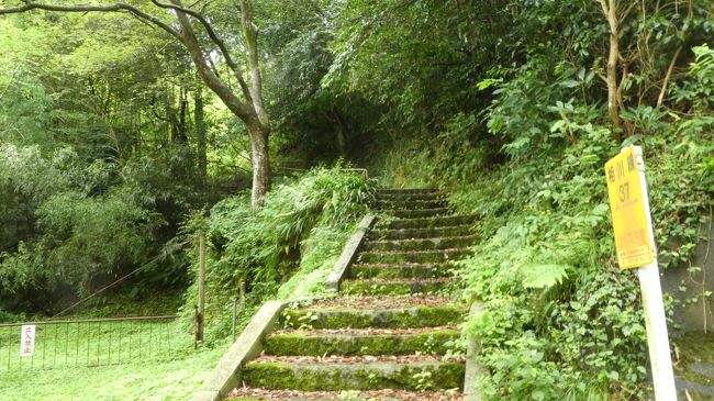 無宿人の墓があり　　その向こうに　供養塔があるよ<br /><br />でも　ずっと上りみたいだから　<br /><br />その先の道遊の割戸ってなんだろう<br />遊ぶに扉だから　遊郭みたいなものかな？<br /><br />↑　嘘です　　山をV字型に試し掘りされた　所です<br />山の形は見えるけど　近くには行けません<br />岩を拾って帰りたいんだけど…