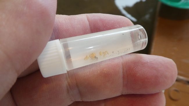 30分フルに頑張って<br />これだけ取れました<br />重量は測定不能です