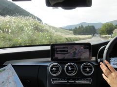 11時にチェックアウトして、地域限定クーポンで追加料金分を払います。
まだ残っているのは箱根で使おう。

ポンコツナビなので、仙石原経由桃源台なんて無理、ポーラ美術館をめざして、ナビは飾りでスマホのGoogleマップを使います。ホント、頭にくる純正ナビです。
ソニーやパナのナビがずっといいわ。
仙石原のススキを車窓から見ました。ヒラマツのホテルをチェックできました。