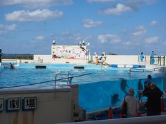 水族館を出て、イルカショーを見に。