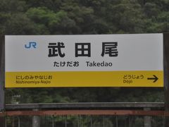 　武田尾駅停車