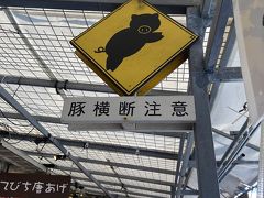 なかゆくい市場おんなの駅(恩納村農水産物販売センター)