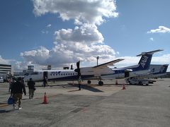 伊丹空港の端の端から降りて飛行機に乗り込みます
満席だそうです

新しくなってから初めての空港利用。
りくろーおじさん楽しみにしてたらJAL側だったようです…