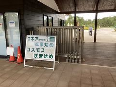 雨もあがり翌日、ちょうど季節もよいようで。