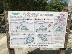 阿真ビーチを選んだ理由はこれ。
ウミガメに遭遇出来る可能性があるため。