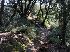 ハイキングコースの山道