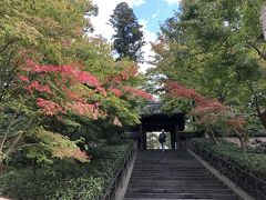 北鎌倉駅から。
駅前にある円覚寺、総門への石段。色づき始めた紅葉です。