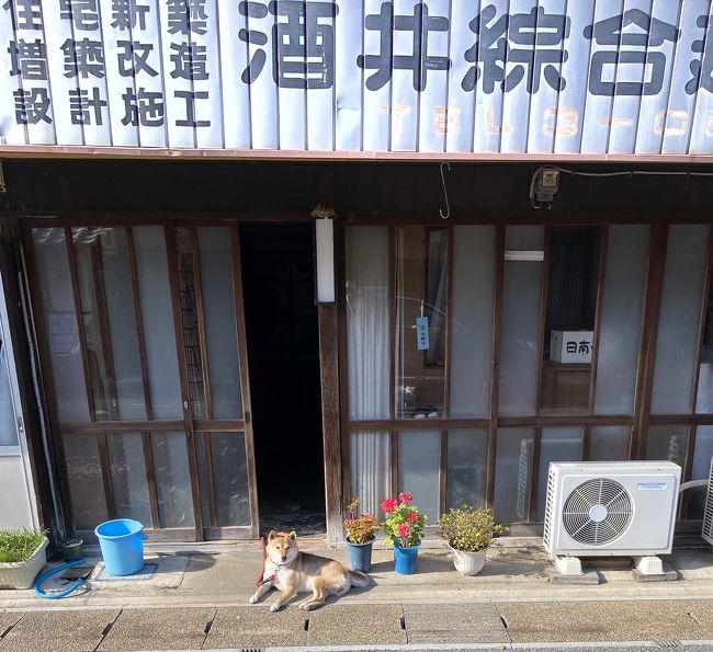 ペットと行く岐阜美濃うだつの上がる街並みの五平餅 美濃市 岐阜県 の旅行記 ブログ By マニー1980さん フォートラベル