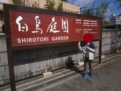  ５００メートルほど進んで白鳥庭園です。ここも世界デザイン博の際に整備された公園です。まだ先が長いので今回は見学せずに通過します。