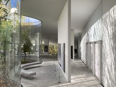 写真の右側、中庭から差し込む樹木の影が白い壁に投影されていて、水墨画のようだなとしばらく見ていた。