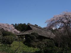 お次は、秩父の宮記念公園へ