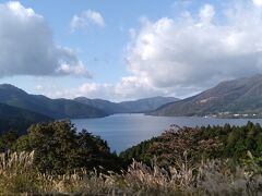 帰路、芦ノ湖経由で帰りましたが芦ノ湖近辺は大渋滞でした。
土日の芦ノ湖は車で行くもんじゃないですね。