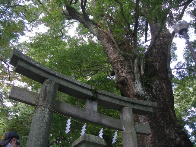 湯河原ハイキング 源頼朝の史跡とパワースポット巡り 湯河原温泉 神奈川県 の旅行記 ブログ By Kenさん フォートラベル 湯河原ハイキング 源頼朝の史跡とパワースポット巡り 湯河原温泉 神奈川県 の旅行記 ブログ By Kenさん フォートラベル