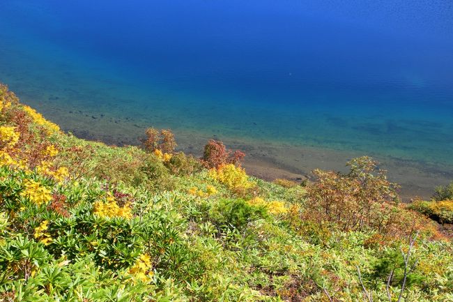 ☆五色沼火口壁西側のガレ場から見下ろした魔女の瞳<br /><br />それが今回、何を血迷ったのか魔女の瞳まで下ってきてしまいました。<br />そりゃ、標高が200mも違うんだから見える景色も素晴らしいけれど<br />やはり登りが憂鬱(－－〆)。<br />ま、降りてきたしまったんだから<br />とりあえずここでしか見られない絶景を楽しみましょう(^^ゞ。<br />