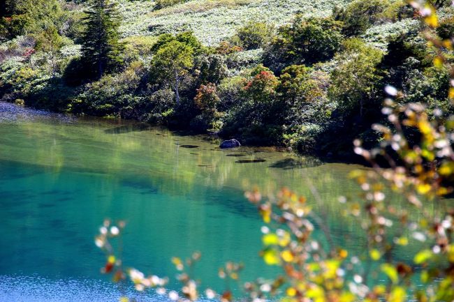 ☆五色沼火口壁西側のガレ場から見下ろした魔女の瞳