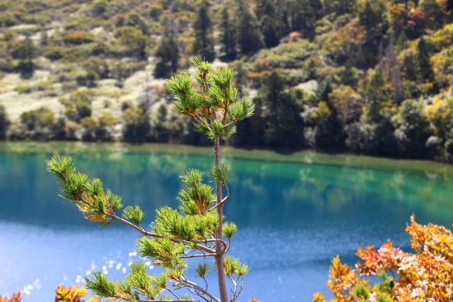☆五色沼火口壁西側のガレ場から見下ろした魔女の瞳