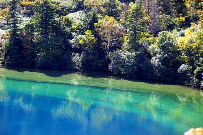 ☆五色沼火口壁西側のガレ場から見下ろした魔女の瞳<br /><br />波が全く無くなった瞬間だけシャッターを切ります。<br />この青さ、この透明度が魔女の瞳が本来持っているポテンシャルです。