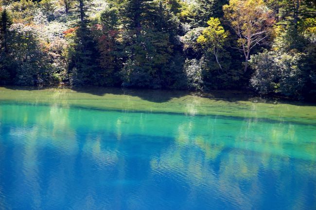 ☆五色沼火口壁西側のガレ場から見下ろした魔女の瞳<br /><br />晴天で風がなく、水面レベルに近いポイントだからこ見られる<br />限りなく透明なセルリアンブルーにうっとりです(^^♪。