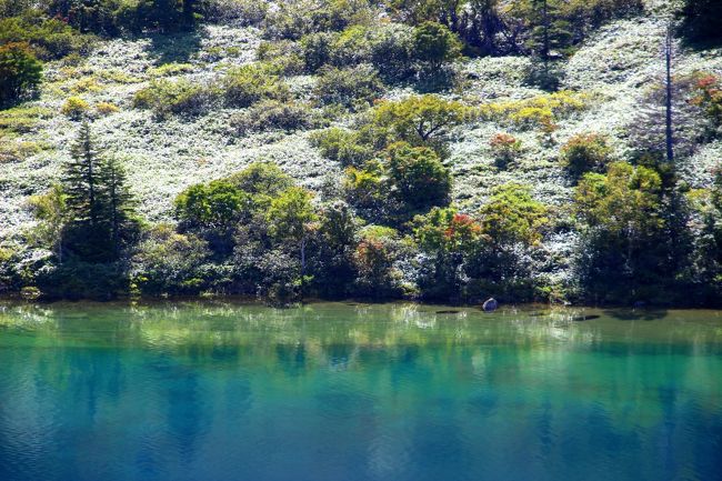 ☆五色沼火口壁西側のガレ場から見下ろした魔女の瞳<br /><br />同じ福島県の裏磐梯五色沼も美しいターコイズブルーの湖沼群ですが<br />魔女の瞳とは青く見えるシステムが違います。<br />裏磐梯五色沼は水に酸化アルミニュームの1種アロフェンを含んでいて<br />そのアロフェンの作用で青く見えるそうです。<br />魔女の瞳は湖底の色や透明度、水深などが相乗作用して青く見えるようです。<br />