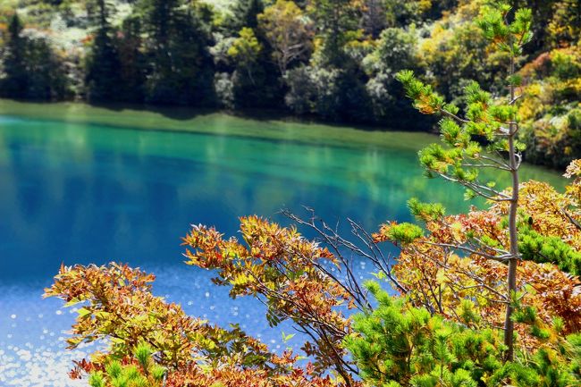 ☆五色沼火口壁西側のガレ場から見下ろした魔女の瞳