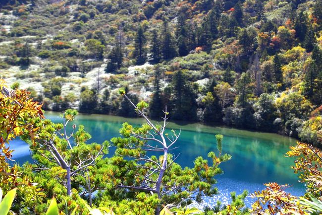 ☆五色沼火口壁西側のガレ場から見下ろした魔女の瞳<br /><br />三角錐の針葉樹は欧風な印象がしますが<br />吾妻五葉松は日本庭園のよな和風の雰囲気を醸し出しています。
