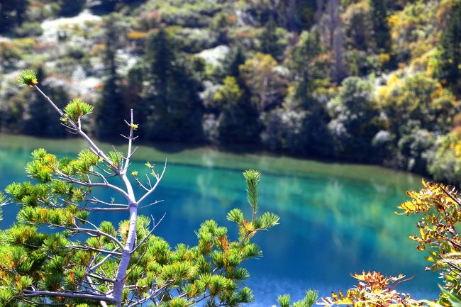☆五色沼火口壁西側のガレ場から見下ろした魔女の瞳