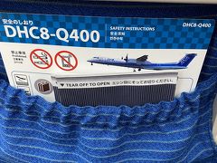 当日の朝、起きた後のリビングで座ったまま意識を喪失しました。
あ、要は二度寝。居眠りです。。。
私は自宅出発の2時間半ほど前に起きますし、離陸1時間以上前に空港到着するよう予定していたので、やろうと思っていたことでやらずとも問題のないことをすべて端折れば、問題なく到着します。。
まあ、当日二度寝してしまうなんてほぼないので。
こんなことで焦った経験がないので、びっくりしましたが。

ただ、伊丹空港の駐車場についてはタビーの担当領域で、あまり深く考えていなかったのですが、考えておくべきでした。。
駐車場がリニューアルされて、普通に駐車場を利用するには相当複雑になっていることに気づきませんでした。。。
ここで、5分ロスし、カウンターへの到着が飛行機の出発予定時間45分前になってしまいました。。

うーん、、、余裕がない！
ああ、そして空港、結構混んでいる。。
2020年2月に低気圧のせいでたくさん欠航が出た際にチェックインしようとしていた時くらい混んでいる、、、、
まずいかも？
これは、モーニングは無理だし、ラウンジも無理そうだなー。。。

5番カウンターは、当日航空券を購入したりする人のカウンターでした。
当日のJALのカウンターの中ではすいているカウンターです。
2人まちだったので、結構すぐ順番が来ました。

「ダイナミックパッケージで予約した便が欠航になりました。振替便はANAで7時30分の便の手配が済んでいて予約番号もあります。」
と言って航空券予約番号と往路復路の確認番号の記載されたページを見せます。
「伊丹空港のカウンターで、代替便の手配をお願いした際に出発当日は5番カウンターにまず行くよう言われました。」
一通りいうべきことは言ったと思いましたが、端末をいじっている職員の反応が思っていたのと違います。。。
「こちらは出発便の振替ですか？」
「はい、往復出発時にできると聞きましたが、復路の券を受け取って紛失すると再発行できないとのことでしたので、出発便、往路だけお願いします。」
「23日の高知行きというこうとでよろしいですか？」
「はい。あの、ほかに何か必要なものありますが？JALのカードとか、ANAの予約番号とか。。」
「いいえ、大丈夫です。少々お待ちください。」

なんか思っていたのとちがうなんか思っていたのとちがうなんか思っていたのとちがうなんか思っていたのとちがうう。。。。
まずい！
「あの、預入荷物もあるんですけど、大丈夫ですか？」
「はい、少々お待ちください。」
7時をまわりそうです。。。
大丈夫なはずありません。
担当の職員が、上席の職員らしい人にとうとう声をかけました。
「出発が、神戸なので。。。」
と、言っているのが聞こえます！
あー、そういうのイレギュラーなのね。。
「出発時間は。。。？？」
「7時30分です。」
「少々お待ちください。」
カウンターの中で移動したりあわただしそうです。
「後入れと、いうことで・・」と上席の方と担当してくださった職員の方が話しています。
7時5分、本当にまずい！
「それでは、ANAさんのカウンターまでご一緒してご案内いたします。」
だんだん職員の方の足が速足ではなく走るのに近くなります。
私とタビーも、もはや歩いている、という速度ではありません。
「ANAさんのカウンターまで距離がありますし時間も迫っていますので申し訳ありませんが、、、」
というやいなやヒールを履いているとは思えない速度で職員の方が安定的に走り始めました！
はやっ！！！
ついてゆくのがやっとです。

伊丹の北と南があんなに距離があるということを知りませんでした。。。。
ANAの職員をつかまえて、JALの職員が
「先ほど後入れで、とお電話した------」
振替で、7時30分の高知行きの方ですとかなんとか、内容を言っていますが、私も焦っていたので、再現できるほど記憶がしっかりありません。
ともかく、ANAの職員は、カウンターの中に消えてゆき1分以内ではない時間、でも、後の経緯を考えると5分以下、の時間、焦っている私とタビー、JALの職員をそのままでなんの指示もなく、待たせました。
心の中では、
「まさか、戻ってきて最後尾に並べって言わないよねー？いや、ANAだったら普通そうなんだよなー、でもまさか、もう出発まで20分くらいしかないのにそれはさすがに言わないよねー、JALから職員もついてきてるし。」
とこころでつぶやいた私です。

ANAの職員が再び現れ、JALの職員にわかりましたとか承りましたとか答え（これまた再現できない。。）、
私たちには
「順番にご案内しますので最後尾にお願いします」
と言いました。。。
「え、あの7時30分の便ですけど？」
「はい、締め切り近くなりましたら、便別にご案内しますので、お並びになってお待ちください。」
「預入荷物ありますよ？」
「はい、最後尾にお並びください」
・・・・・・・・・・・・・・・
やっぱりANAだから、これか！
思わずタビーに
「あー、タビーには荷物持って列に並んでもらっておけばよかったー。ANAだから、やっぱり。。。まさかとおもったけどやっぱりね。。。あ～～。」
「7時30分発高知行きのお客様～！」
「ハイっ！！！」
挙手してすぐに対応していただきます。
後ろから職員がきて
「あ、先ほどの、、、ハイ。」
「カードあったほうがいいですか？」
「はいお願いします。」
「はい、荷物おひとつでよろしかったですか？」
「はい」
「はい、それでは＊〇と＊×でお席ご用意させていただきました。」

ともかく急いで、保安検査場を通らないといけません。
2階についたとたん職員はいないのに人はたくさん、、、、。
「とりあえずプレミアムのほうに行けば大丈夫だよ！」
と、タビーが提案します。そして、なんの列かわからないプレミアムチェックインへと続く、先頭まで何人いるか想像もつかない列に加わろうとします。
「そっちでいいけど、列に並んでてもだめ！職員に確認して！」
-------------
「7時30分発の高知行はただいまをもって締め切らせていただきます。」
通常の保安検査場のバーコード読み取り機付近で職員が声を上げます。

あー、最後尾に案内の職員がいない！
パーティションで区切られた場所から、
「高知行ですっ！！」とわたし声を上げ、手を挙げてアピールしますが、気づいた職員はいても対応しようとする意志のある職員はありません。。。。。。
さて、どうする？

プレミアムチェックインの入り口にタビーが現れました。
職員を連れています。
わたし走ってそちらに移動します。
「あの列保安検査じゃないよ。こっち」
と、左奥の１人まち！、の保安検査場へ連れて行ってくれました～。

あー大丈夫かも？
前の人が荷物を検査にかけたので、いそいそとチケットのバーコードを読み取らせました。
オレンジの明かりと、見たことのない印字が！
『締め切り時間を過ぎています』（だったかな？たしか。）

とにかく乗らないといけないのでアピーーール！！
「先ほど通常の保安検査場で高知行き締め切りとの声に呼応しましたし、別の職員の方には便名を告げているはずです！」
「はいはい」
警備会社のユニフォームの保安検査場職員が、のんきな声を上げます。
「はい、今担当者よんでますので、後ろの方先に通してくださーい。」
保安検査のため、カゴにぶちまけた荷物をどうしたらよいか、
よくわからないまま再度かばんにしまっていると、

私たちのような乗りっぱぐれそうな乗客を担当する地上職員がやってきて、
「こちらは締め切りの20分を過ぎていますので搭乗いただけないかもしれません。」
「えっ。7時すぎにはカウンターに7時30分の便だと告げて到着していました！」
「確認しますのでお待ちください」

えー。ええ。乗れるならいくらでも待ちますよ、
乗れないなら、、、、、乗れないなら。。。。。
・・・・・・・・もはや言葉が浮かびません。

「連絡がつきました。これからご案内します。」
カバンにしまった荷物、再度かごに広げました。
タビーは抜け目なく、そのまま放置していたのでささっと保安検査を終えました。
わたしは、靴がくるぶしまであったので、靴も検査に通しました。
受け取った荷物をまとめて、靴を履いていると、地上職員の手が小刻みに揺れているのがわかります。
いらいらしてるのねー。

しかし、このあと走るのは分かりきっていますので、急いで手を抜くわけにいきません。
転んでけがをしてもANAが補償してくれるわけがありませんから。
固くトレッキングシューズのひもを結び、上半身を起こす前に再度両足分結び目の固さを確認します。
「お待たせしました。」
記憶が正しければ、職員は無言でした。
ガラス張りのエアサイドに入って
「空港についてからトイレにいっていないので・・・」というと
「申し訳ありません。時間が迫っておりますので、機内でお願いします。」
「機内で大丈夫ですか？」
「はい。あの申し訳ありませんが、搭乗口付近まで走っていただいてよろしいですか？」

あー、また走るのか！！
今度の職員は、JALのカウンターの職員と違って、休みなく走る体力状態ではないようで、途中で歩く時間が入り助かりました。
同じ搭乗口に向かう他の乗客らしき人が二人ほど見えました。
「もう走らなくて大丈夫です。」
「え？？」
「ここから先はゆっくり歩いてください。焦らなくて大丈夫です」
といって、ついてくるのをやめました。
やっとタビーと話す余裕が。

わたし「あー、朝食どころじゃなかったね、焦った～～。」
タビー「間に合ってよかったねー。」
わたし「結局あのプレミアムチェックインの列って預け入れ荷物の人の列だったの？」
タビー「そうそう」
新しいプレミアムチェックインができてから利用したことがありませんでした。
JGC修行のため、伊丹空港にはいっても、ANAにご無沙汰だった弊害がこのような形で出たのでした。。。

搭乗口のわきにトイレありました。
後続の搭乗者がまだいたので、トイレにも無事入れました。

私たちが着席後も、3名ほど乗客が。
この方たちは！
私たちが焦って、ANAのカウンターを離れるため人の列をかき分けていた時、
「おーい、マイルカード持ってるひとー？ためてるひとー？」っと声を上げて、ゴルフバッグを携えてチェックインしていた方々ではないですか！
なんと、別にこんなに焦らなくても乗せてくれたのねーー？
うーん？？
まあいいや。間に合ったし、間に合ったし！
間に合ったし。。。

その後、日本語のほうが英語より不得手な機長からアナウンスが入り、充電ができていないので30分ほど遅れて出発するとのこと。
タビーは、すでにすやすや。
私は、ほとんど飲まず食わずで走る予定もないのに走った弊害でちょっと具合が悪く、プロペラ機で酔ったらやだなーと思いながら、離陸を待ったのでした。