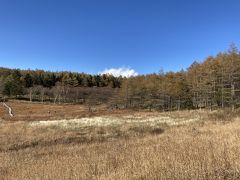 ゴンドラ山頂駅から歩いて20分。紅葉はイマイチでした。