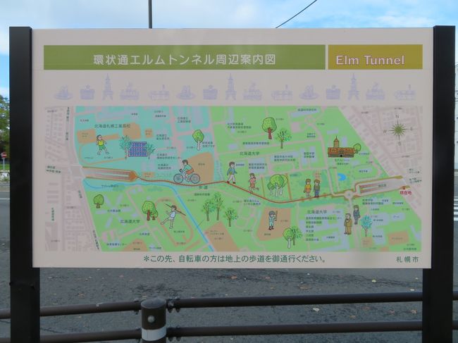 北海道大学構内散歩　～　平成ポプラ並木と、西側辺り　～　2020