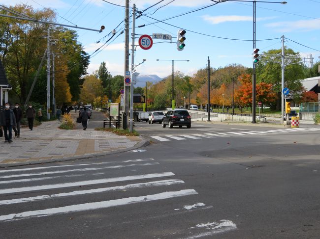 北海道大学構内散歩　～　平成ポプラ並木と、西側辺り　～　2020