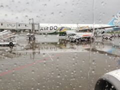 旅の間はお天気はまずまず良かったのですが、最後、空港に向かう途中からパラパラ雨が降ってきて、搭乗したらこんな感じ。