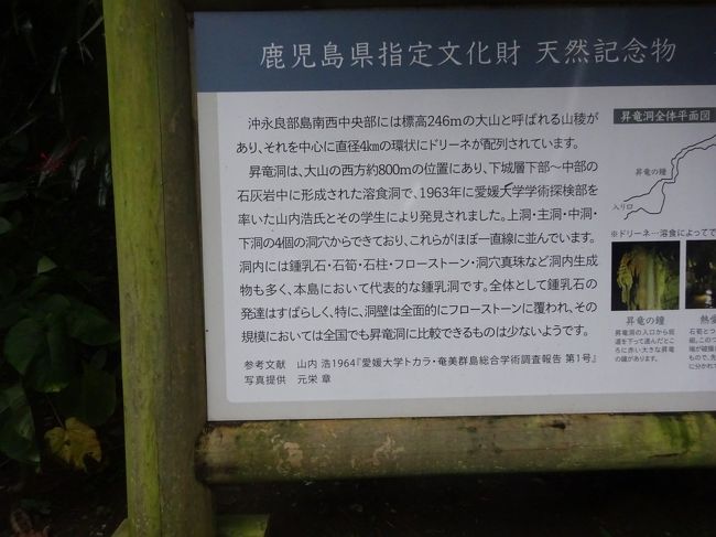 2020年10月(10)沖永良部島(西郷南洲記念館 ｶﾞｼﾞｭﾏﾙ 世乃主の墓