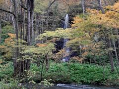 白糸の滝。

奥入瀬川の対岸から真っすぐきれいに流れ落ちる滝。