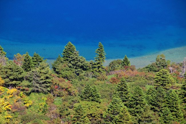 ☆一切経山(1949m)から見下ろす魔女の瞳(五色沼)<br /><br />三角錐の針葉樹はオオシラビソ（アオモリトドマツ）だと紹介しましたが<br />コメツガの可能性もあります。<br />ただオオソラビソは樹氷の基になるほど雪の重みにも強く４ｍもの<br />積雪にも耐えられるそうですが<br />コメツガは１．５ｍを越える積雪だと枝が折れてしまうそうです。