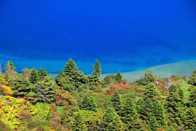 ☆一切経山(1949m)から見下ろす魔女の瞳(五色沼)<br /><br />また豪雪地帯では針葉樹の幼木は雪腐れ病に弱いそうですが<br />オオシラビソの幼木は耐性があり<br />引いてはオオシラビソが豪雪地帯に多くなった理由です。