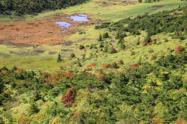 ☆一切経山登山道からの望む酸ヶ平湿原＆池塘<br /><br />湿地や湿原で森が形成できないのは分かりますが<br />その周囲も水分が多すぎて森を形成するには<br />根腐れを起こしやすい地質なんでしょうかね？