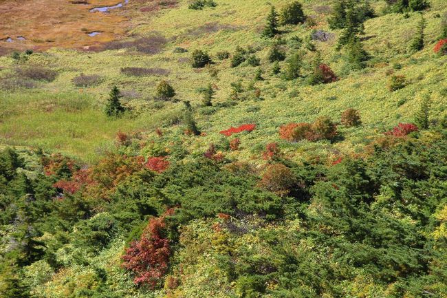 ☆一切経山登山道からの望む酸ヶ平湿原