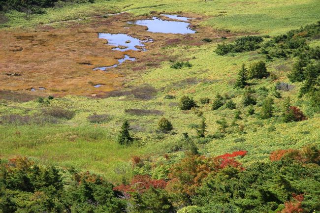 ☆一切経山登山道からの望む酸ヶ平湿原＆池塘<br /><br />高山地帯の湿原や湿地にできる水深の浅い小さな沼や池は<br />池塘と呼ばれます。