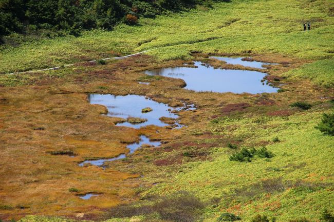 ☆一切経山登山道からの望む酸ヶ平湿原＆池塘<br /><br />池溏（ちとう）は、湿原の泥炭層にできます。<br />高層湿原が形成される過程において、<br />堆積した泥炭層の隙間が水で涵養された部分ができる。<br />これが池塘で、周囲とは隔絶された環境であるため、独特の生物相ができる。<br />池塘と池塘の間は地上、地下の水路でつながり、<br />時に泥炭層の一部が浮島になることもあります。