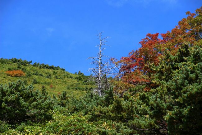 ☆一切経山登山道からの望む平石山(1928m)