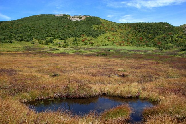 ☆鎌沼周回登山道から望む酸ヶ平湿原池塘＆平石山(1928m)<br /><br />山頂がガレ場になっているのが平石山<br />どう見ても標高が1928mもある高山に見えませんね。