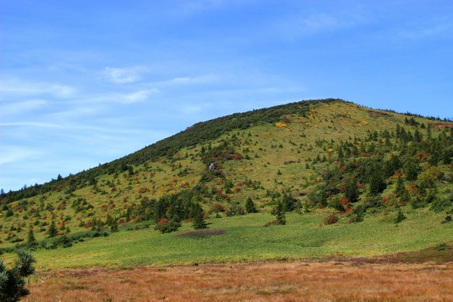☆鎌沼周回登山道から望む酸ヶ平湿原＆前大巓(1911m)　<br /><br />前大巓(まえだいてん)は平石山より高そうに見えますが<br />実際は平石山より少し低い1911m。<br />どうしても人間(私)は視覚からの情報を鵜呑みにする傾向があるようです。