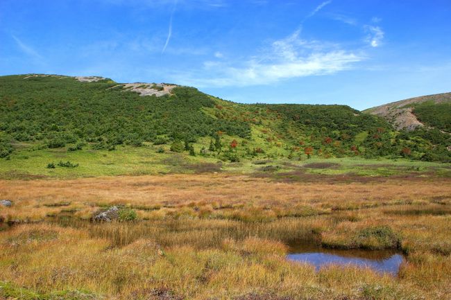 ☆鎌沼周回登山道から望む酸ヶ平湿原池塘＆平石山(1928m)