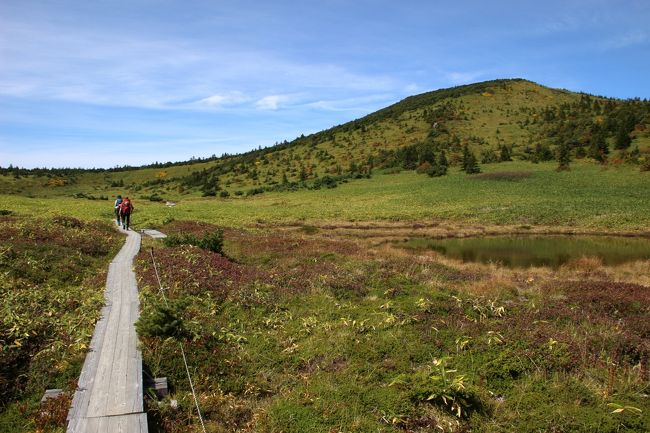 ☆鎌沼周回登山道から望む酸ヶ平湿原池塘＆前大巓(1911m)　<br /><br />酸ヶ平湿原は比較的歴史の浅い湿原だからか<br />あまり珍しい湿地植物は見当たらないかな。<br />地味だけれどアヅマホシクサ吾妻星草(ホシクサ科ホシクサ属)はこの地域の固有種です。<br /><br />
