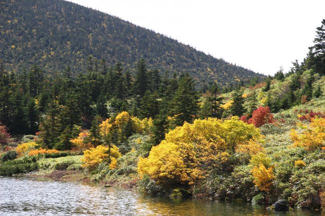 ☆鎌沼周回登山道から望む鎌沼＆東吾妻山（1974m）山麓