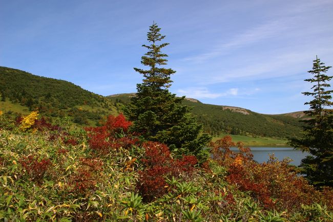 ☆鎌沼周回登山道から望む鎌沼＆左、前大巓(1911m)　<br />右手が平石山(1928m)